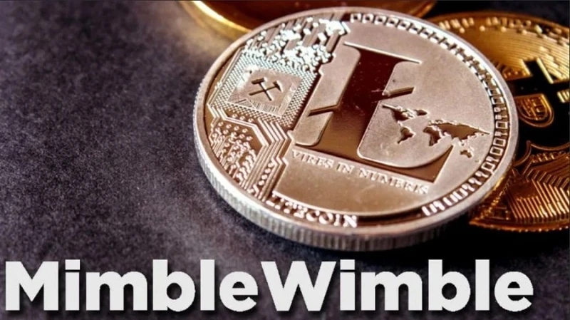 Разработчики Litecoin интегрируют протокол конфиденциальности Mimblewimble