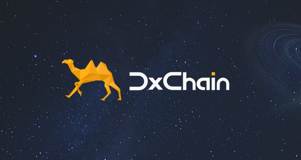 DxChain Network (DX): Децентрализация управления данными