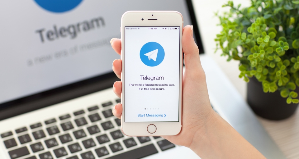 Павел Дуров ликвидировал Telegram Messenger LLP