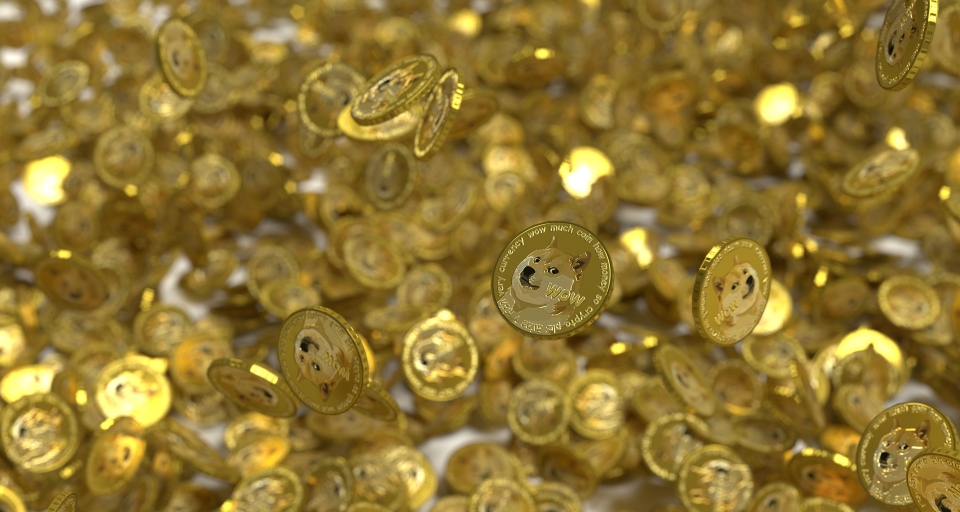 DogeCoin подорожал за 48 часов на 50%