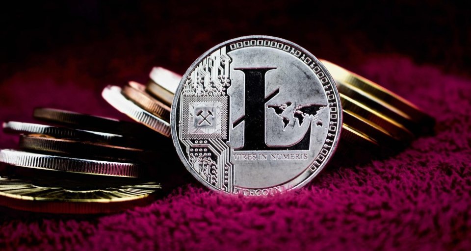 Выбор надежности: топ криптовалютных кошельков для Litecoin