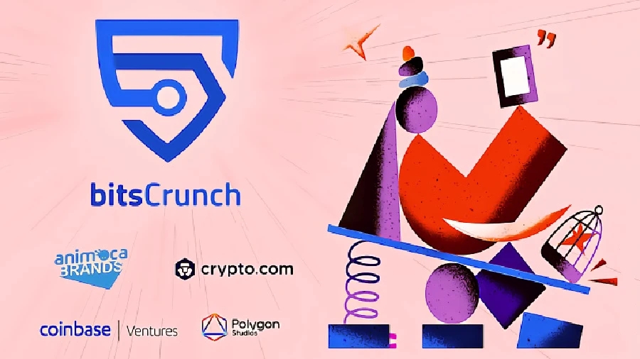 BitsCrunch привлекла $3.6 млн для создания инструментов аналитики NFT