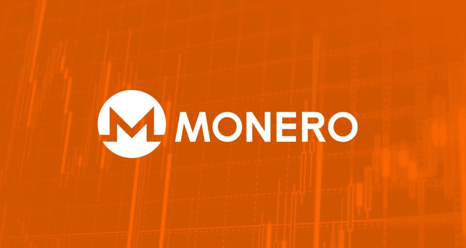 Перспективы развития Monero: прогноз курса XMR на 2023-2031 годы