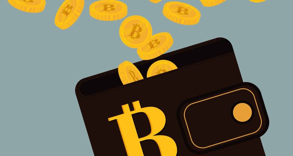 Безопасное хранение Bitcoin: Топ надежных криптовалютных кошельков