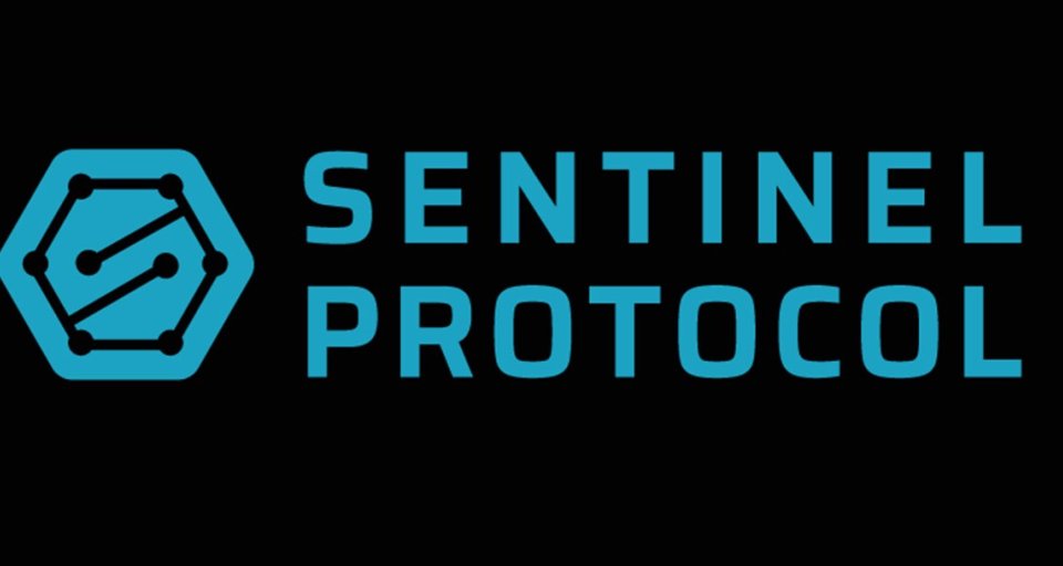 Защита блокчейн-систем с помощью криптовалюты Sentinel Protocol (UPP)