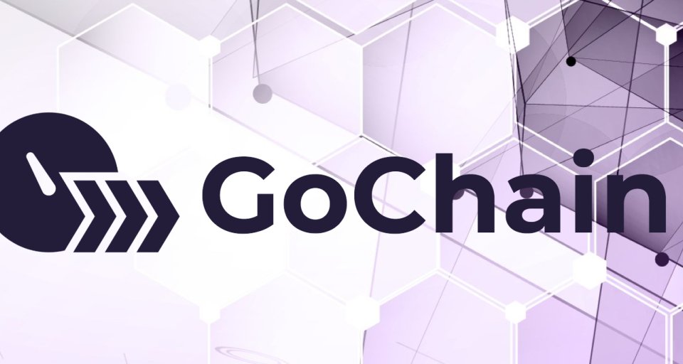 GoChain (GO): особенности и перспективы криптовалюты