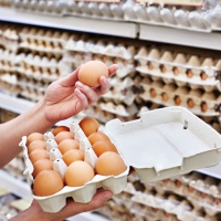 Будущее цен на яйца: факторы и прогнозы