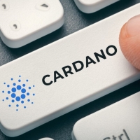 Гендиректор Cardano сообщил о готовящихся изменениях