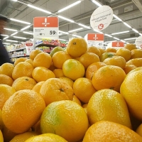 В российских магазинах возник дефицит овощей и фруктов
