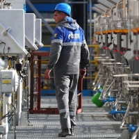 «Газпром» оставил прокачку газа по «Ямалу–Европе» нулевой
