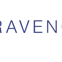 Ravencoin (RVN) - перспективная криптовалюта с фокусом на передачу цифровых активов