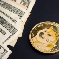 DOGE может стать «валютой Интернета»