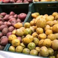 Белстат: картофель в Белоруссии за год подорожал на 66%
