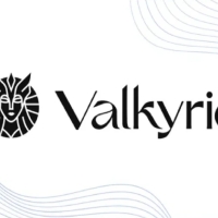 Valkyrie Investments запустила траст на базе блокчейна Avalanche