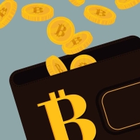 Безопасное хранение Bitcoin: Топ надежных криптовалютных кошельков
