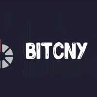 BitCNY (BITCNY): Стабильность и уверенность в мире криптовалют