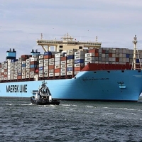 Крупнейший контейнерный перевозчик прекращает работу в РФ