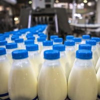 Эксперты заявляют о росте стоимости молока в России