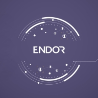 Искусственный Интеллект и Блокчейн: Глубокое погружение в криптовалюту Endor Protocol (EDR)