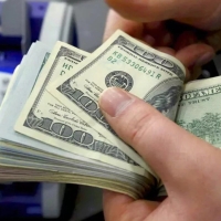Экономист объяснил отличие официального курса доллара от реального