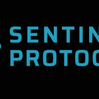 Защита блокчейн-систем с помощью криптовалюты Sentinel Protocol (UPP)